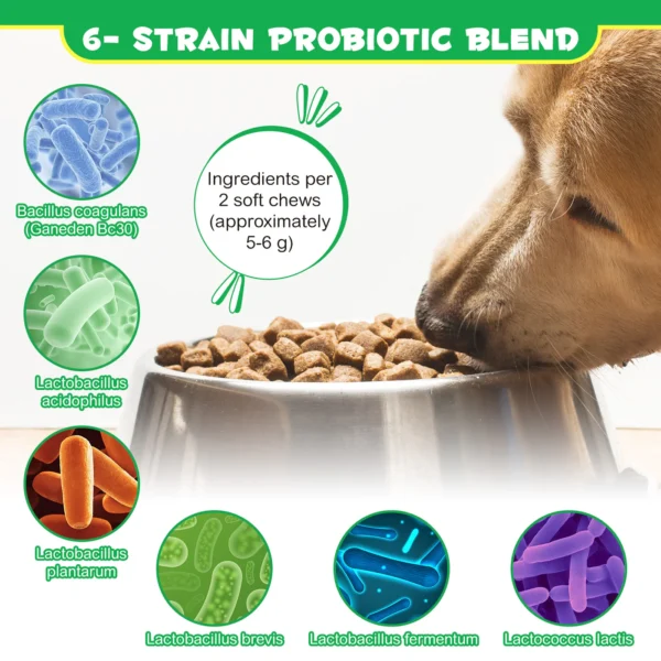 Oimmal Pre & Probiotic Digestive Soft Chews for Dogs 60 Chews - Image 3