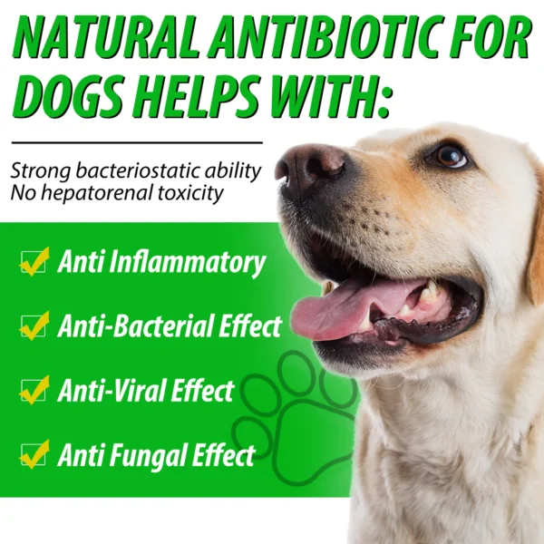 Oimmal Natural Antibiotics Drops for Dogs - Image 4