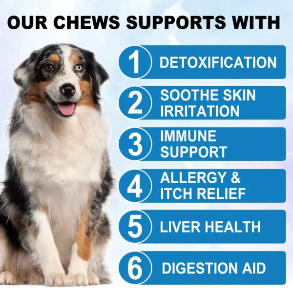 Oimmal Allergy Relief Immune Soft 150 Chews for Dogs - Image 3